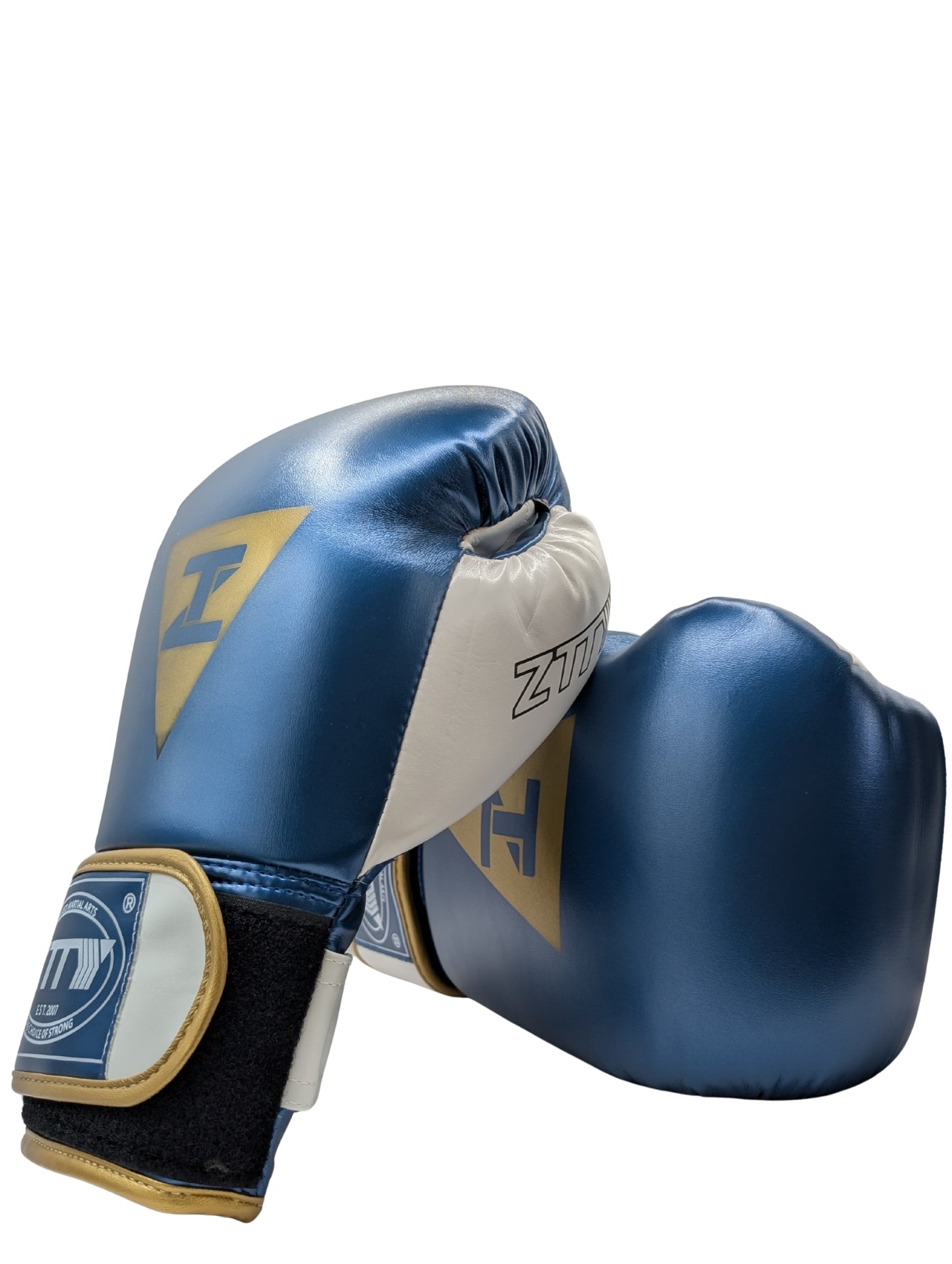 ZTTY | Blue 16oz Boxing Gloves + FREE 4.5m Mexican Style Hand Wraps